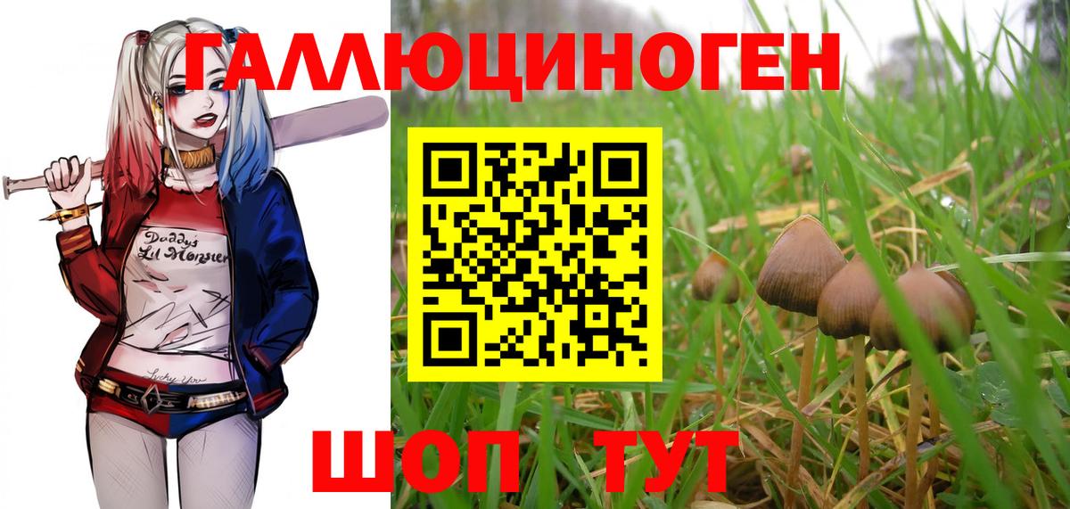 Россошь  Галлюциногенные грибы Psilocybine cubensis  Вход с VPN  Псилоцибиновые грибы MAGIC MUSHROOMS 